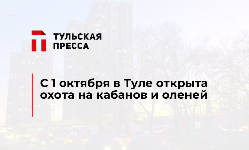 С 1 октября в Туле открыта охота на кабанов и оленей