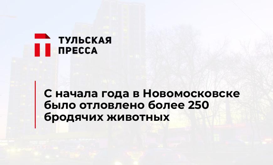 С начала года в Новомосковске было отловлено более 250 бродячих животных