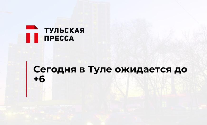 Сегодня в Туле ожидается до +6