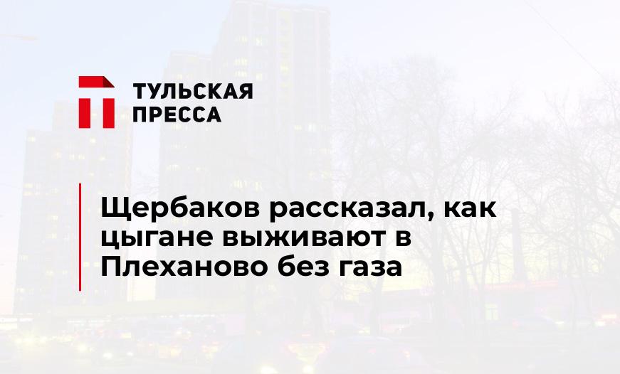 Щербаков рассказал, как цыгане выживают в Плеханово без газа