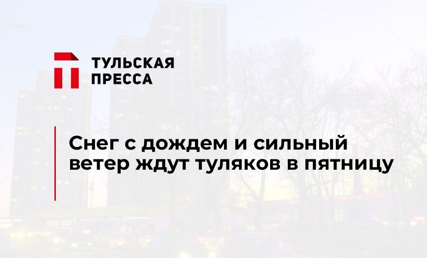 Снег с дождем и сильный ветер ждут туляков в пятницу
