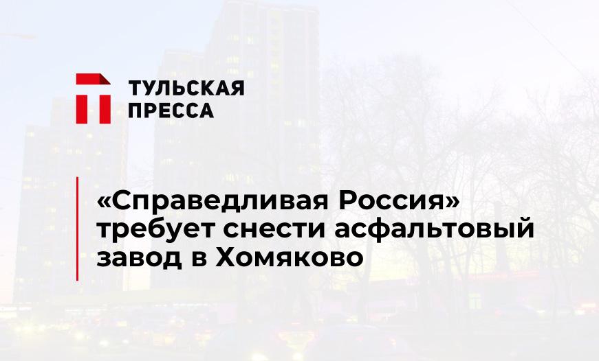 «Справедливая Россия» требует снести асфальтовый завод в Хомяково