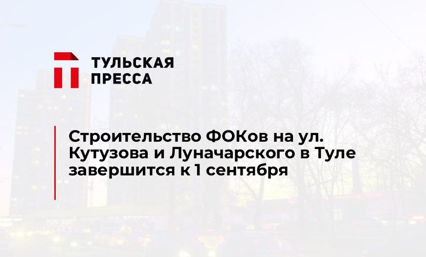 Строительство ФОКов на ул. Кутузова и Луначарского в Туле завершится к 1 сентября