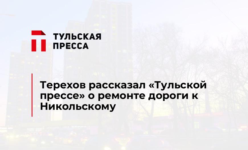 Терехов рассказал "Тульской прессе" о ремонте дороги к Никольскому