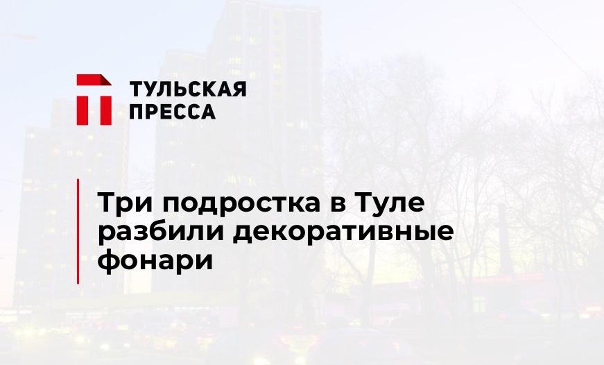 Три подростка в Туле разбили декоративные фонари