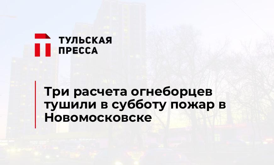 Три расчета огнеборцев тушили в субботу пожар в Новомосковске