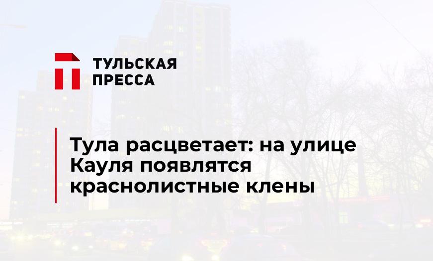 Тула расцветает: на улице Кауля появлятся краснолистные клены