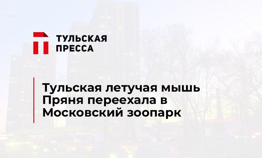 Тульская летучая мышь Пряня переехала в Московский зоопарк