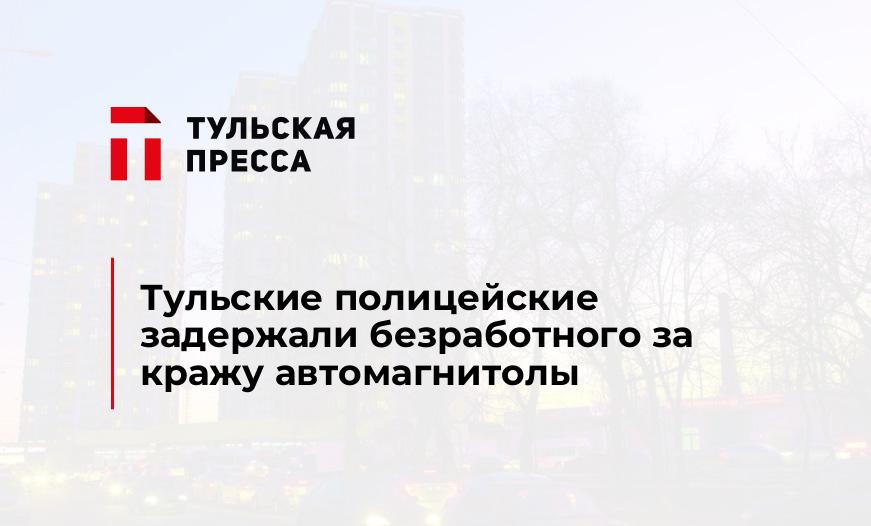 Тульские полицейские задержали безработного за кражу автомагнитолы