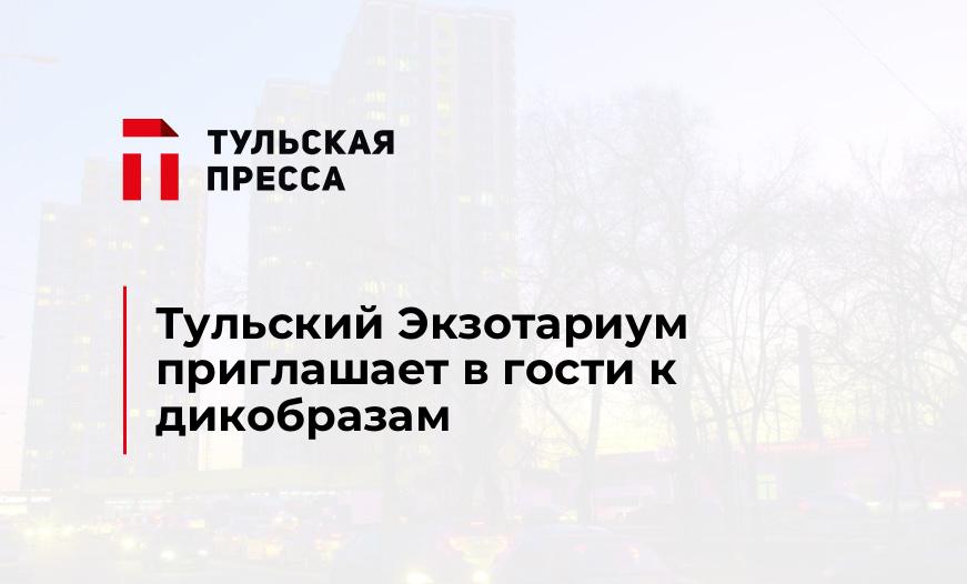 Тульский Экзотариум приглашает в гости к дикобразам