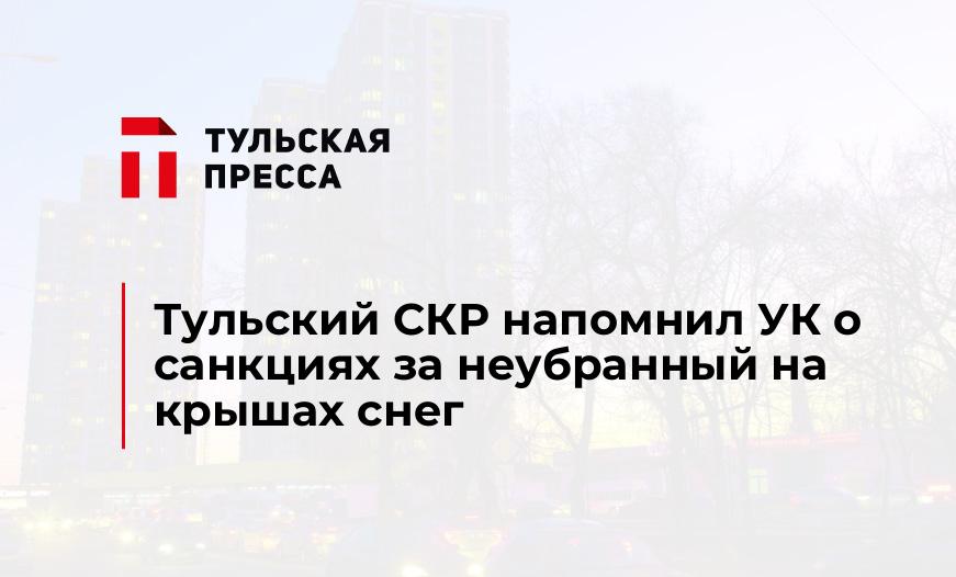 Тульский СКР напомнил УК о санкциях за неубранный на крышах снег