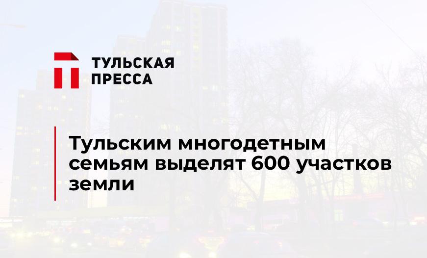 Тульским многодетным семьям выделят 600 участков земли