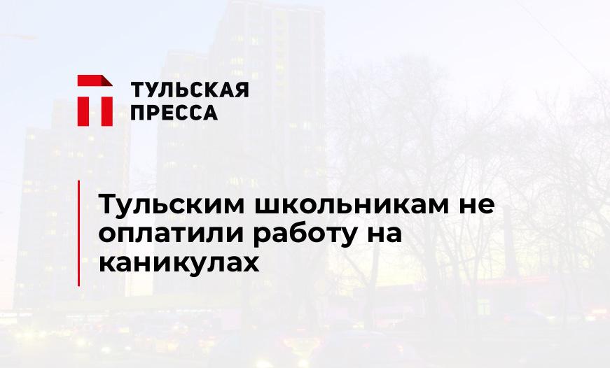 Тульским школьникам не оплатили работу на каникулах