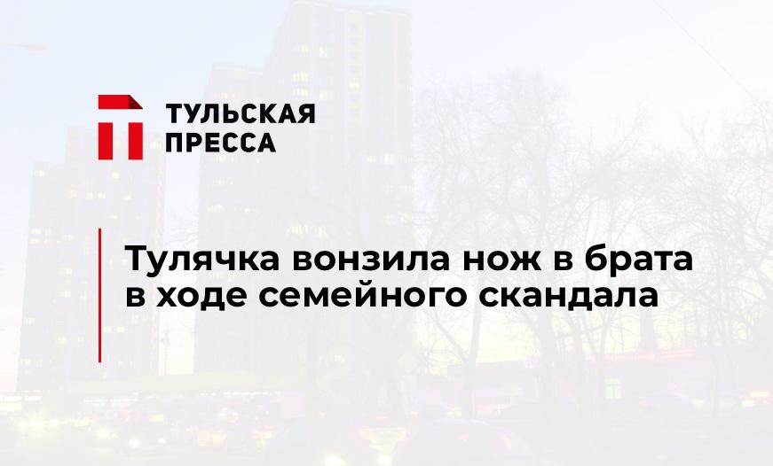 Тулячка вонзила нож в брата в ходе семейного скандала