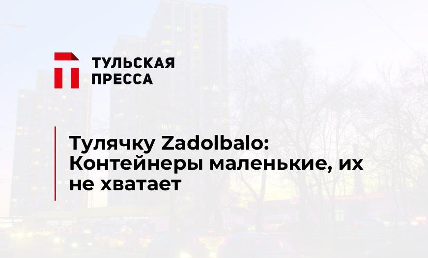 Тулячку Zadolbalo: Контейнеры маленькие, их не хватает