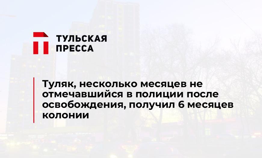 Туляк, несколько месяцев не отмечавшийся в полиции после освобождения, получил 6 месяцев колонии