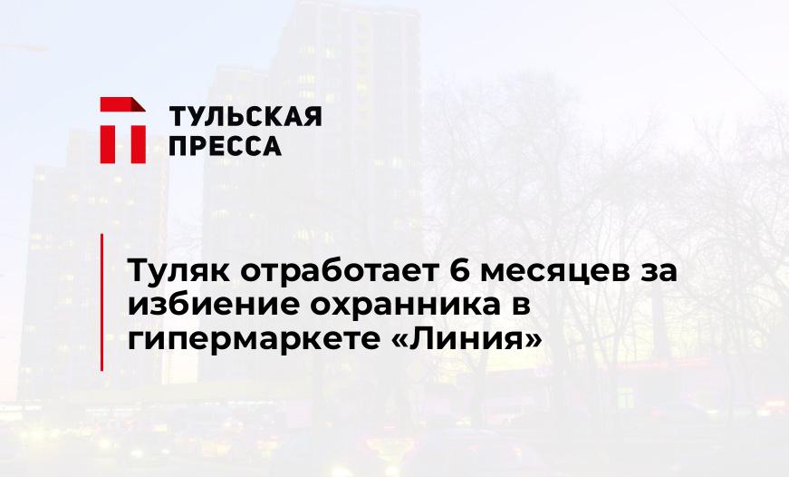 Туляк отработает 6 месяцев за избиение охранника в гипермаркете "Линия" 