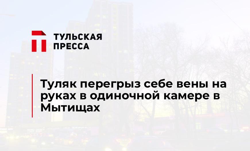 Туляк перегрыз себе вены на руках в одиночной камере в Мытищах
