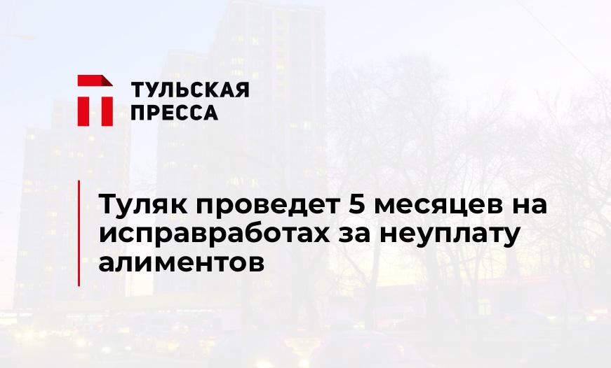 Туляк проведет 5 месяцев на исправработах за неуплату алиментов