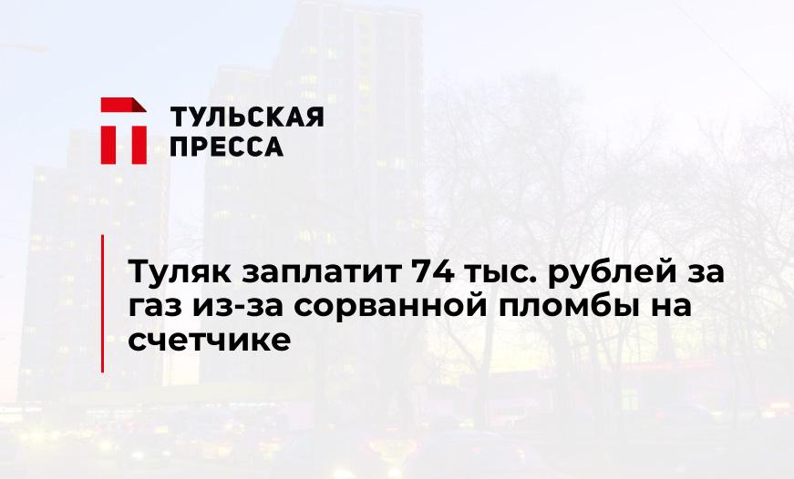 Туляк заплатит 74 тыс. рублей за газ из-за сорванной пломбы на счетчике