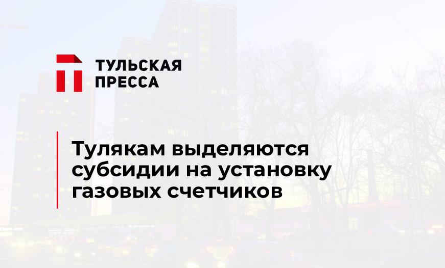 Тулякам выделяются субсидии на установку газовых счетчиков