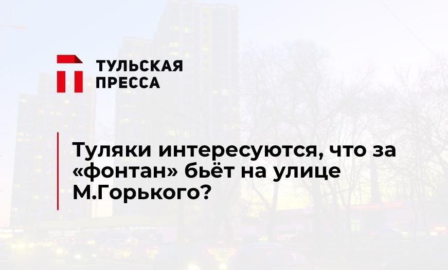 Туляки интересуются, что за "фонтан" бьёт на улице М.Горького?