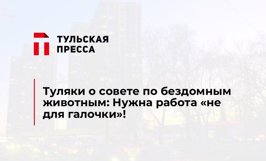 Туляки о совете по бездомным животным: Нужна работа "не для галочки"!
