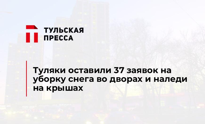 Туляки оставили 37 заявок на уборку снега во дворах и наледи на крышах