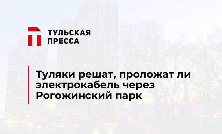 Туляки решат, проложат ли электрокабель через Рогожинский парк