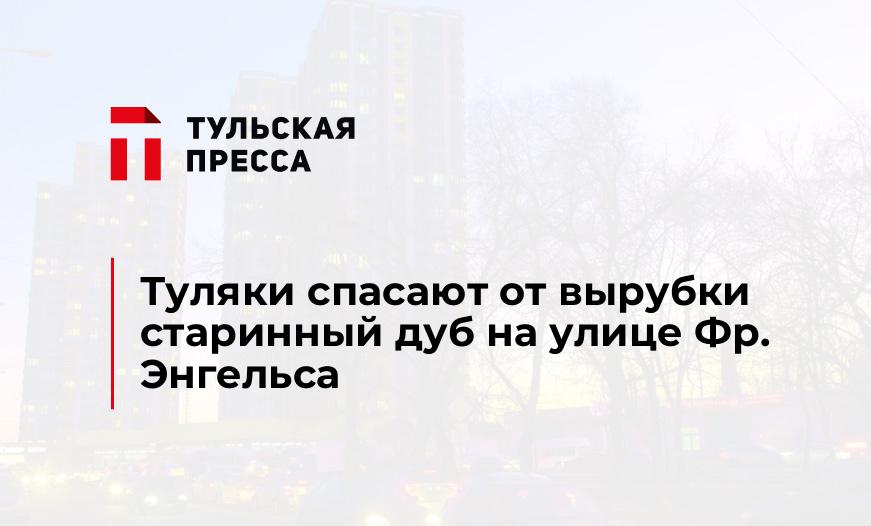 Туляки спасают от вырубки старинный дуб на улице Фр. Энгельса