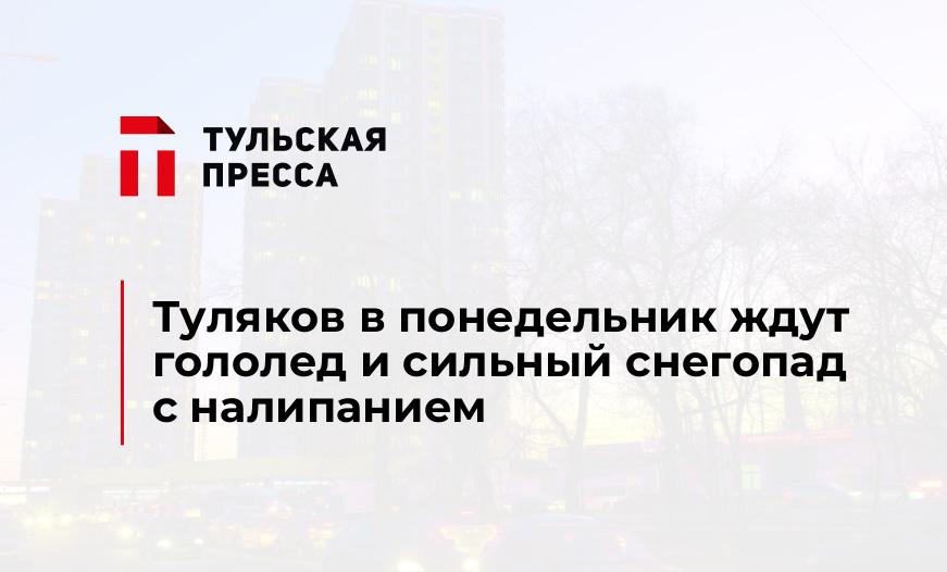 Туляков в понедельник ждут гололед и сильный снегопад с налипанием