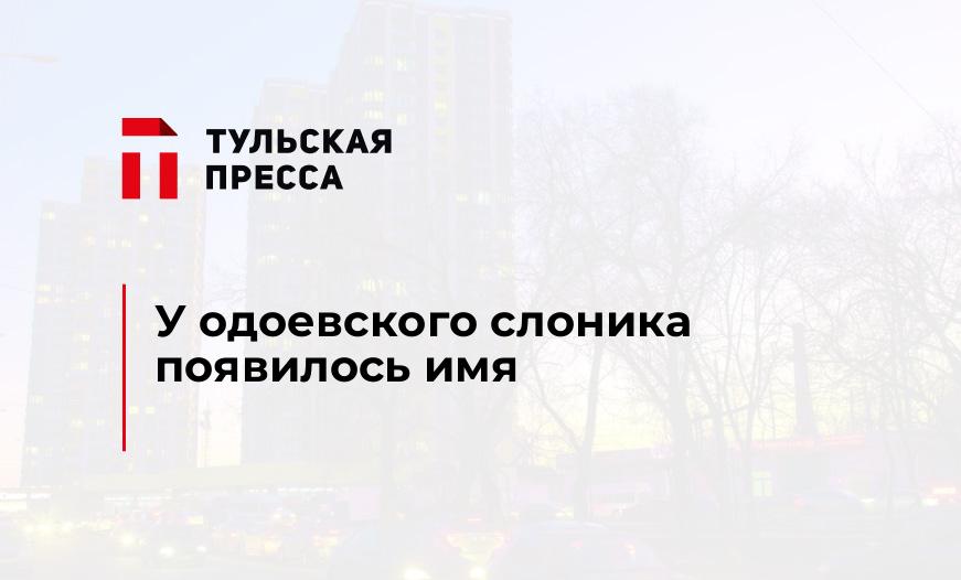 У одоевского слоника появилось имя
