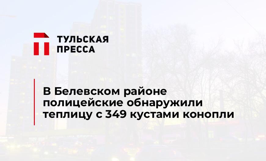 В Белевском районе полицейские обнаружили теплицу с 349 кустами конопли