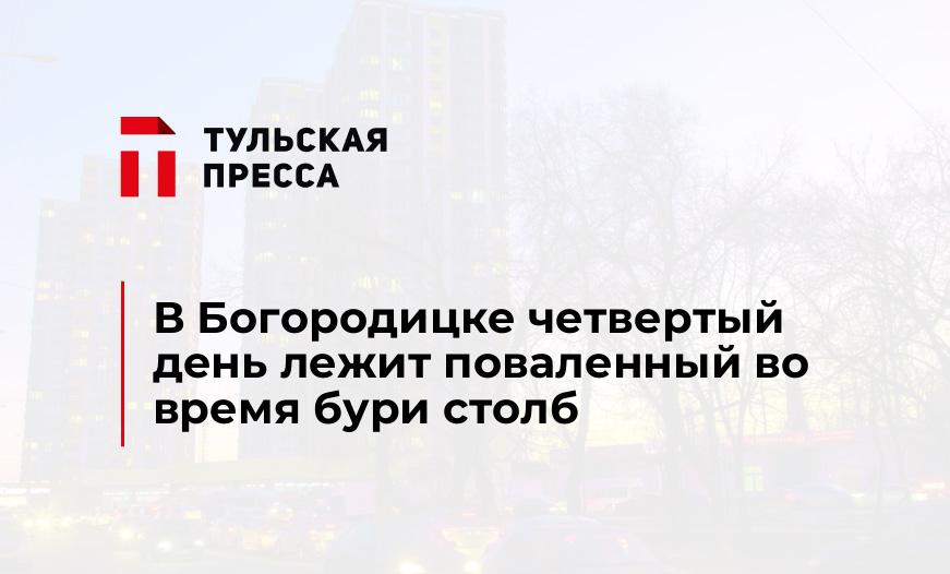 В Богородицке четвертый день лежит поваленный во время бури столб