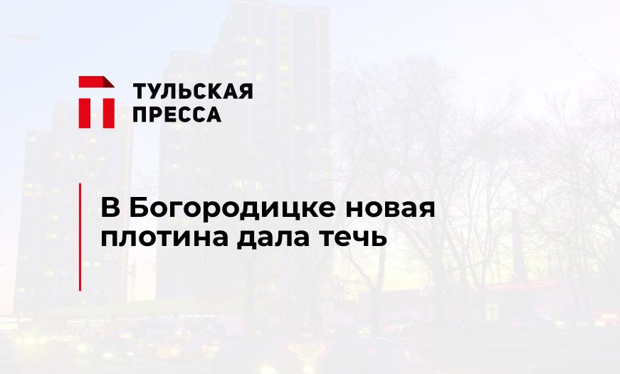 В Богородицке новая плотина дала течь