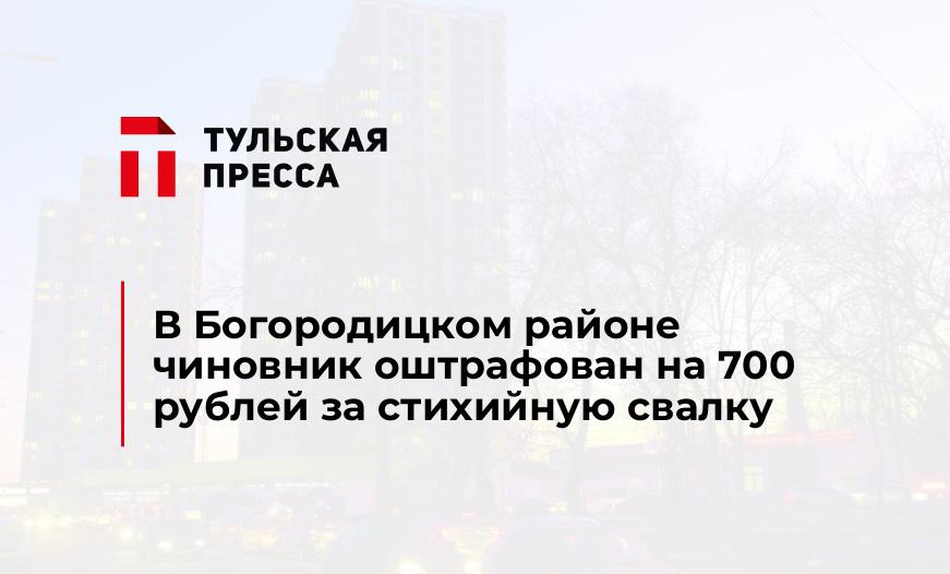 В Богородицком районе чиновник оштрафован на 700 рублей за стихийную свалку