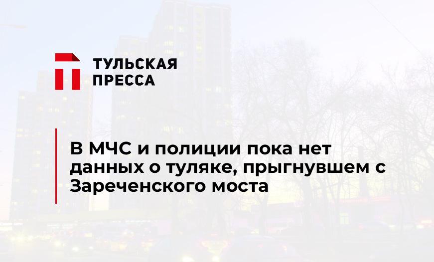 В МЧС и полиции пока нет данных о туляке, прыгнувшем с Зареченского моста