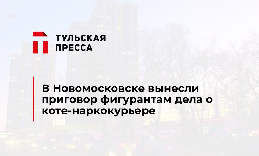 В Новомосковске вынесли приговор фигурантам дела о коте-наркокурьере