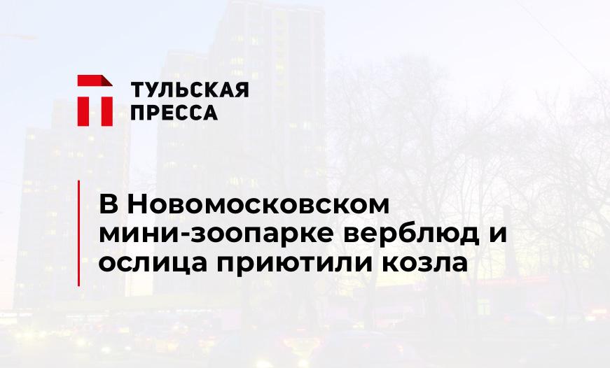 В Новомосковском мини-зоопарке верблюд и ослица приютили козла 