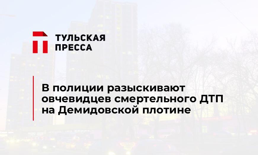В полиции разыскивают овчевидцев смертельного ДТП на Демидовской плотине