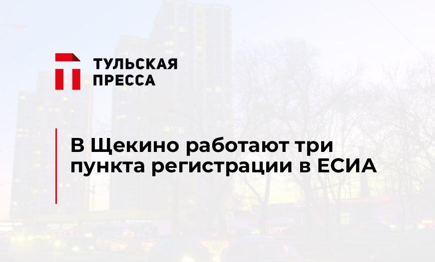 В Щекино работают три пункта регистрации в ЕСИА