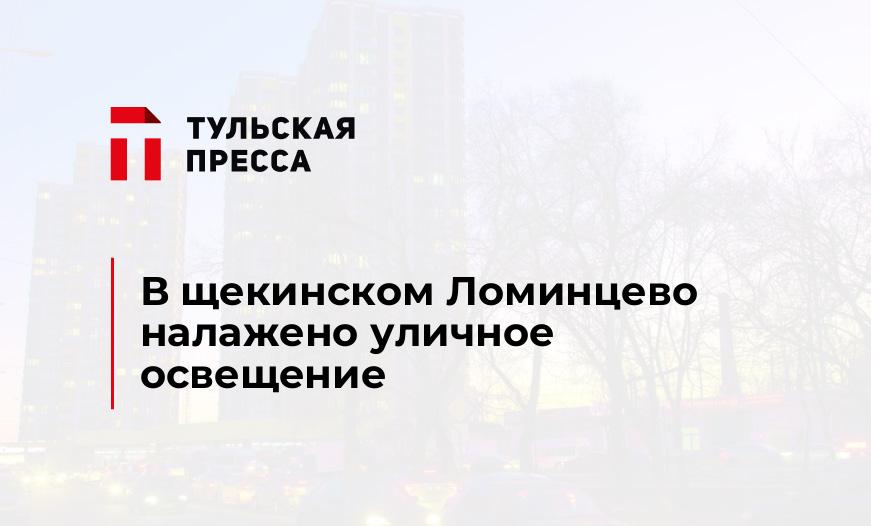 В щекинском Ломинцево налажено уличное освещение
