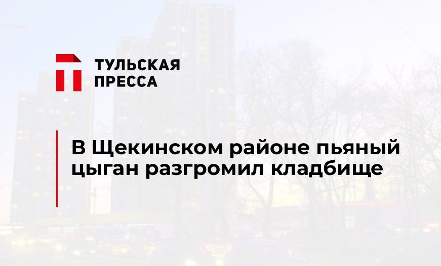 В Щекинском районе пьяный цыган разгромил кладбище