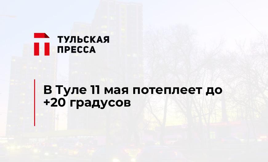 В Туле 11 мая потеплеет до +20 градусов