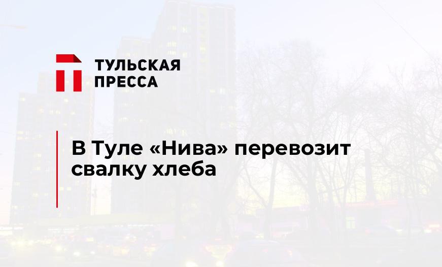 В Туле "Нива" перевозит свалку хлеба