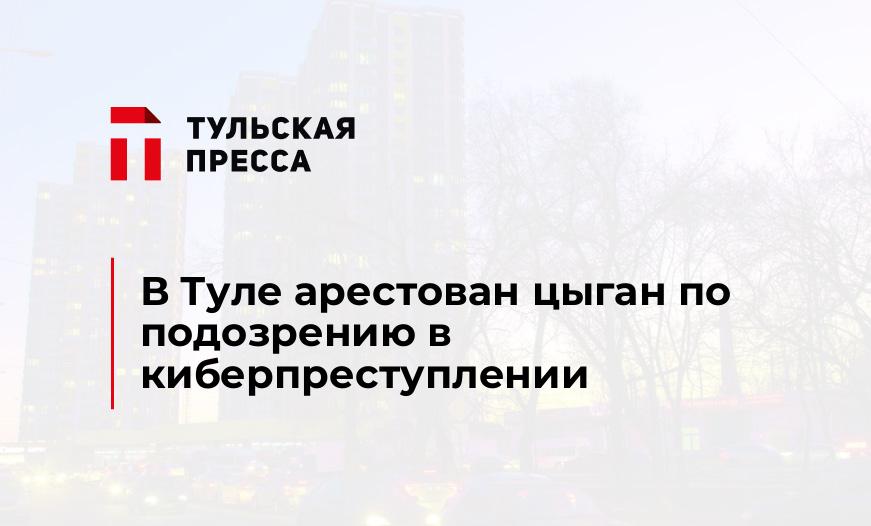 В Туле арестован цыган по подозрению в киберпреступлении