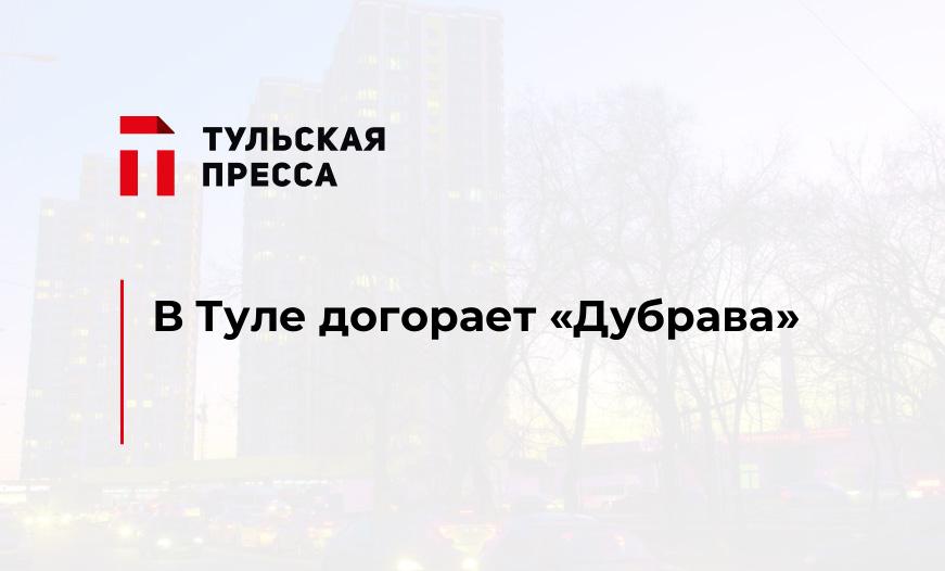 В Туле догорает "Дубрава"