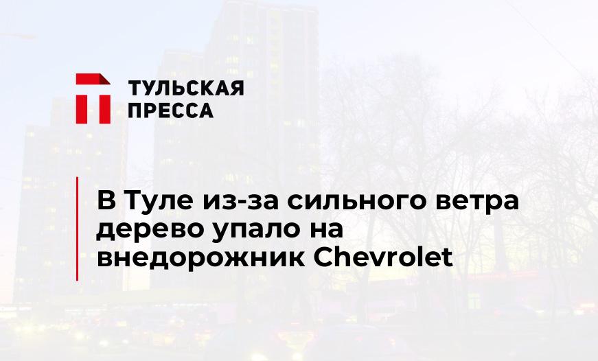 В Туле из-за сильного ветра дерево упало на внедорожник Chevrolet