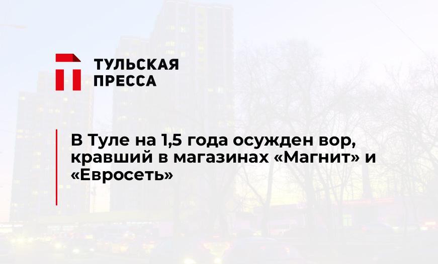 В Туле на 1,5 года осужден вор, кравший в магазинах "Магнит" и "Евросеть" 