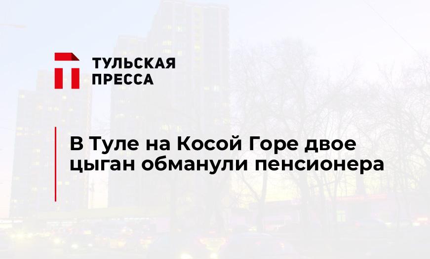 В Туле на Косой Горе двое цыган обманули пенсионера